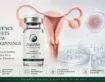 Before embryo transfer, the embryo is not the only factor that matters